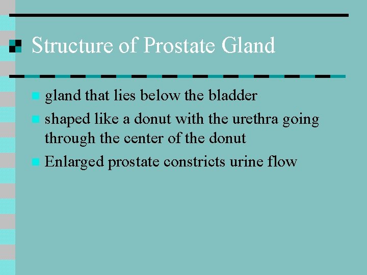 Structure of Prostate Gland gland that lies below the bladder n shaped like a