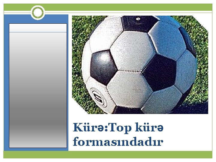 Kürə: Top kürə formasındadır 