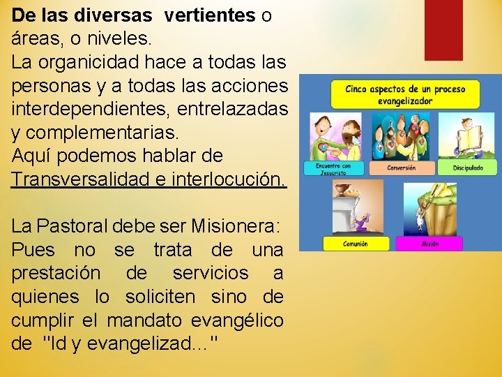 De las diversas vertientes o áreas, o niveles. La organicidad hace a todas las