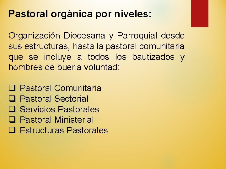 Pastoral orgánica por niveles: Organización Diocesana y Parroquial desde sus estructuras, hasta la pastoral