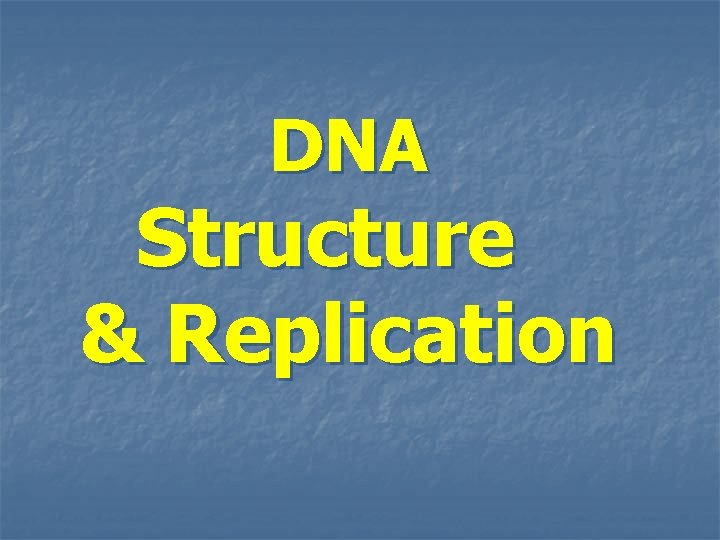 DNA Structure & Replication 