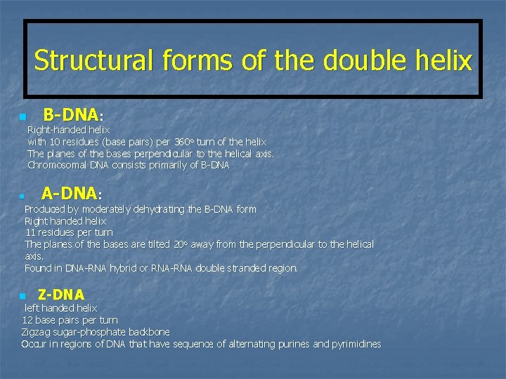 Structural forms of the double helix n B-DNA: Right-handed helix with 10 residues (base