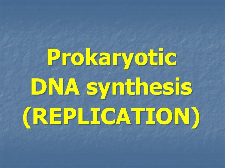 Prokaryotic DNA synthesis (REPLICATION) 