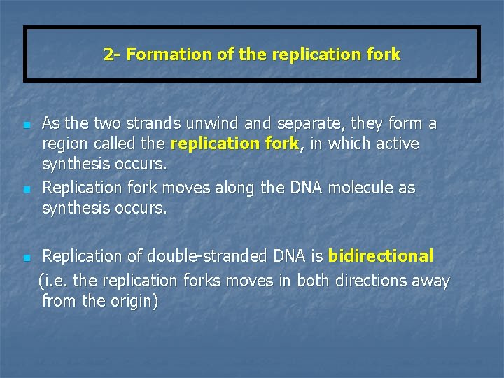 2 - Formation of the replication fork n n n As the two strands