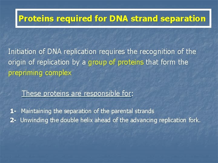 Proteins required for DNA strand separation Initiation of DNA replication requires the recognition of