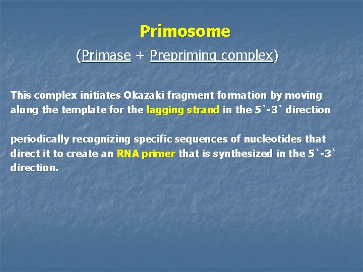 Primosome (Primase + Prepriming complex) This complex initiates Okazaki fragment formation by moving along