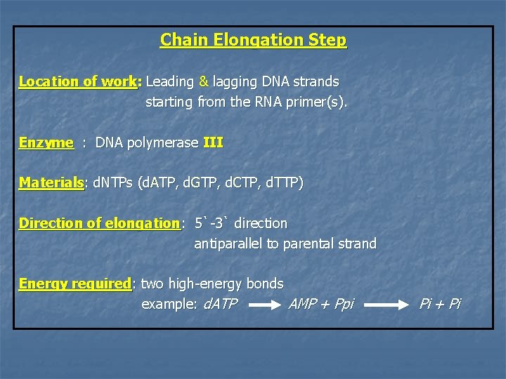 Chain Elongation Step Location of work: Leading & lagging DNA strands starting from the