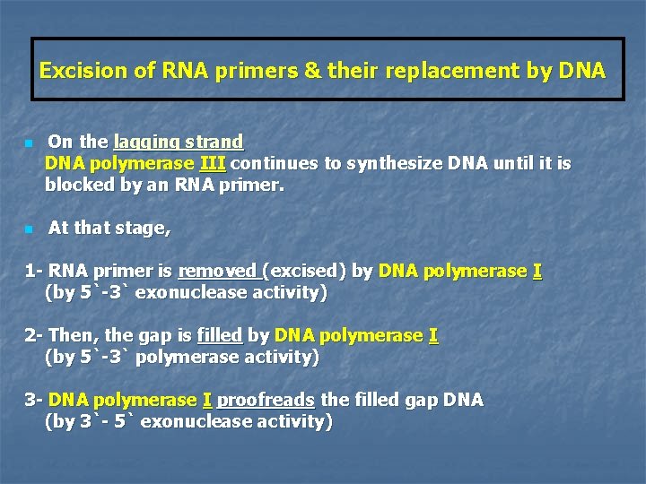 Excision of RNA primers & their replacement by DNA n n On the lagging