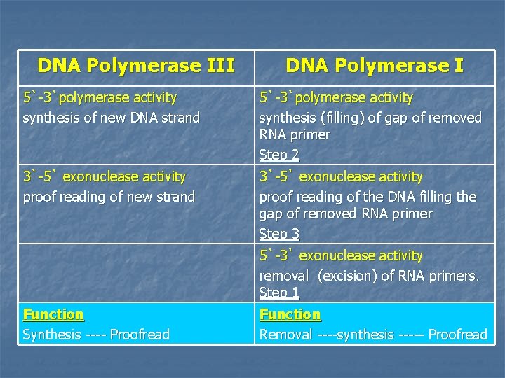 DNA Polymerase III DNA Polymerase I 5`-3`polymerase activity synthesis of new DNA strand 5`-3`polymerase