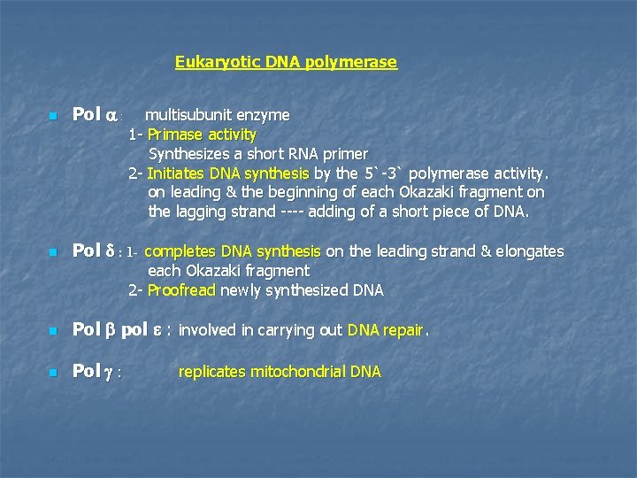 Eukaryotic DNA polymerase n Pol a : n Pol d : 1 - completes