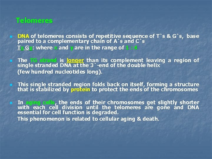 Telomeres n n DNA of telomeres consists of repetitive sequence of T`s & G`s,