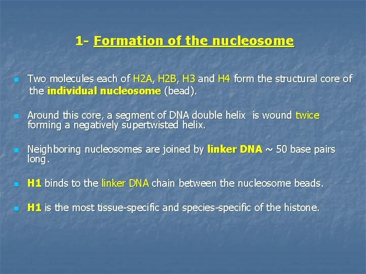 1 - Formation of the nucleosome n Two molecules each of H 2 A,