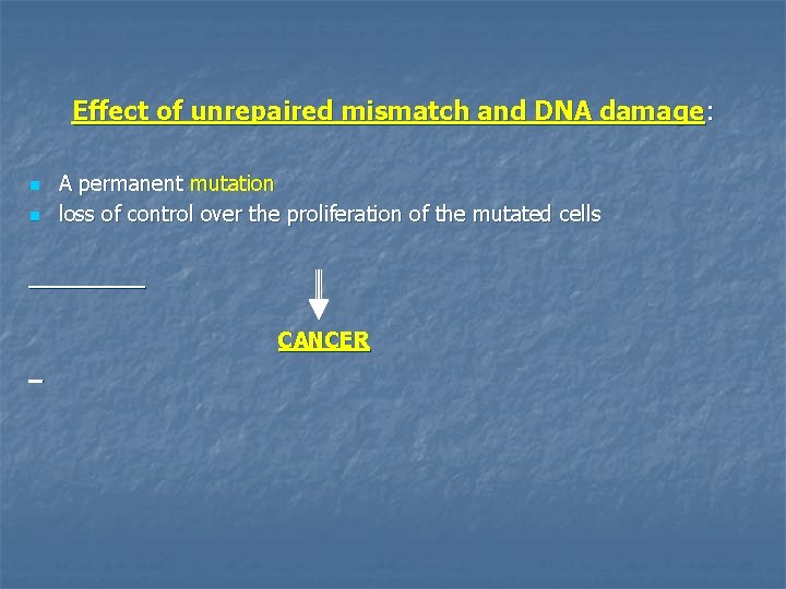 Effect of unrepaired mismatch and DNA damage: n n A permanent mutation loss of