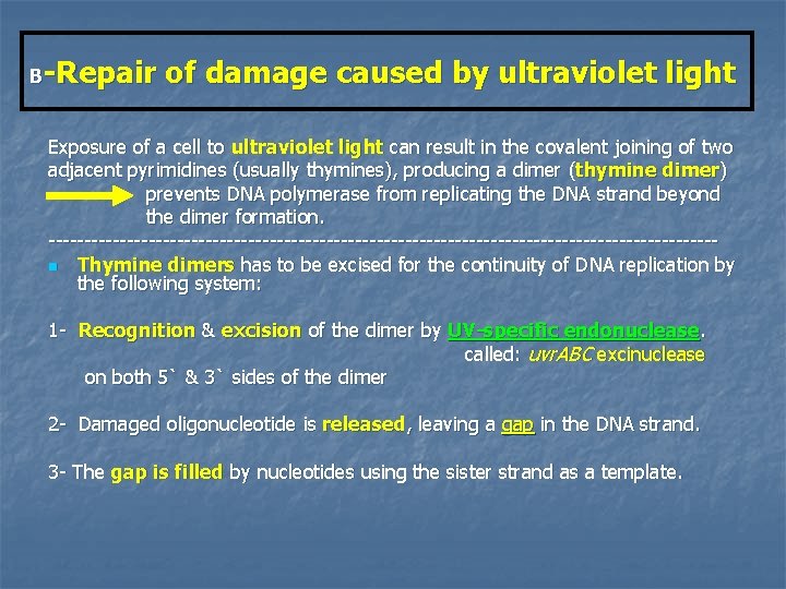 B-Repair of damage caused by ultraviolet light Exposure of a cell to ultraviolet light