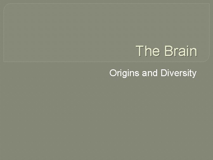 The Brain Origins and Diversity 