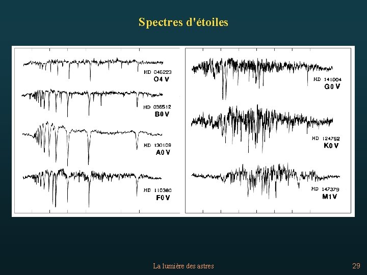 Spectres d'étoiles La lumière des astres 29 