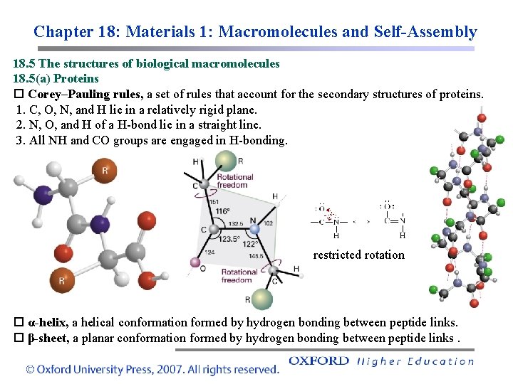 Chapter 18: Materials 1: Macromolecules and Self-Assembly 18. 5 The structures of biological macromolecules