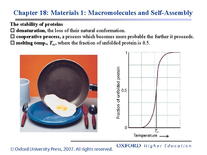 Chapter 18: Materials 1: Macromolecules and Self-Assembly The stability of proteins denaturation, the loss