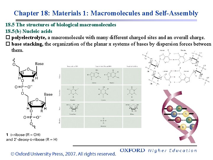 Chapter 18: Materials 1: Macromolecules and Self-Assembly 18. 5 The structures of biological macromolecules