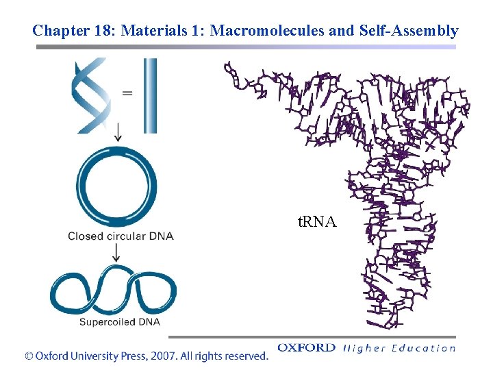 Chapter 18: Materials 1: Macromolecules and Self-Assembly t. RNA 