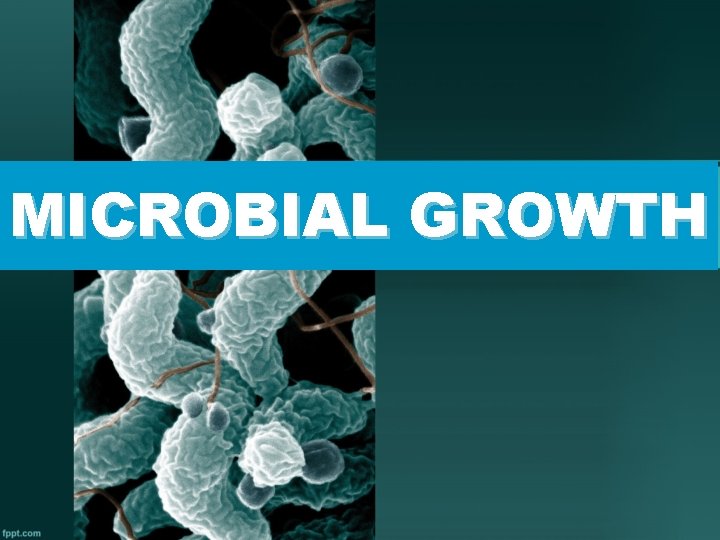 MICROBIAL GROWTH 