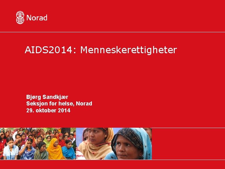 AIDS 2014: Menneskerettigheter Bjørg Sandkjær Seksjon for helse, Norad 29. oktober 2014 