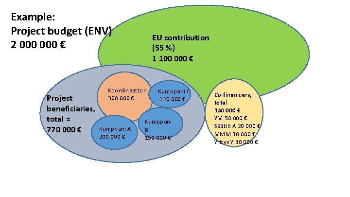 Example: Project budget (ENV) 2 000 € Project beneficiaries, total = 770 000 € Example: Project budget (ENV) 2 000 € Project beneficiaries, total = 770 000 €