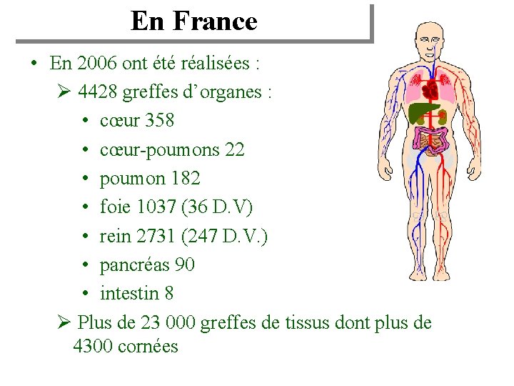 En France • En 2006 ont été réalisées : Ø 4428 greffes d’organes :