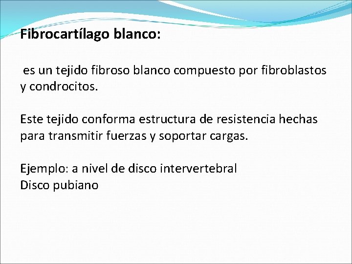 Fibrocartílago blanco: es un tejido fibroso blanco compuesto por fibroblastos y condrocitos. Este tejido