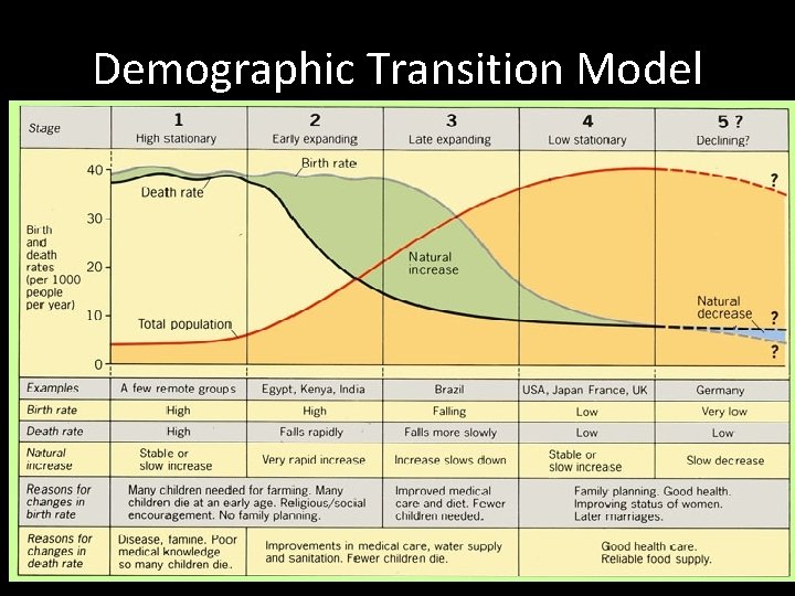 Demographic Transition Model Demographic Transition Model