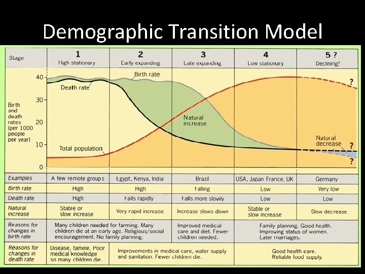 Demographic Transition Model Demographic Transition Model
