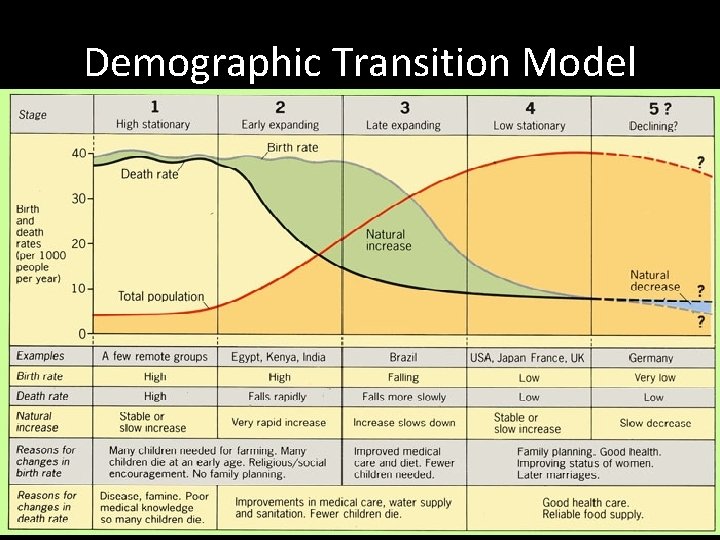 Demographic Transition Model Demographic Transition Model