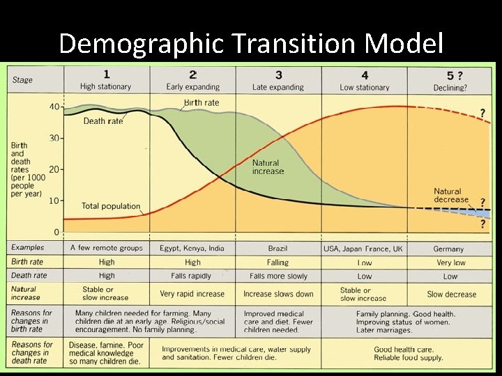 Demographic Transition Model Demographic Transition Model