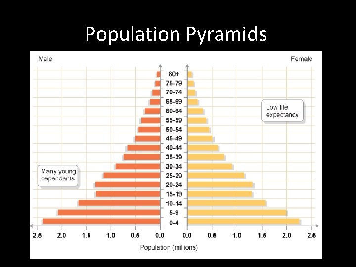 Population Pyramids Population Pyramids