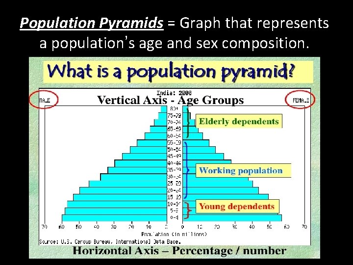 Population Pyramids = Graph that represents a population’s age and sex composition. Population Pyramids = Graph that represents a population’s age and sex composition.