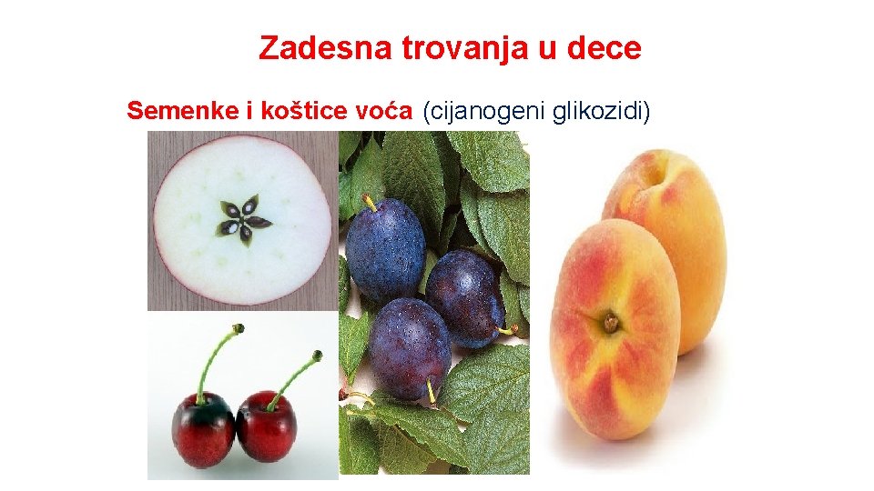 Zadesna trovanja u dece Semenke i koštice voća (cijanogeni glikozidi) 