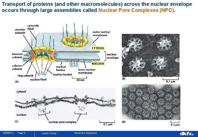 642021 Intracellular Compartments and Protein Sorting Review lecture
