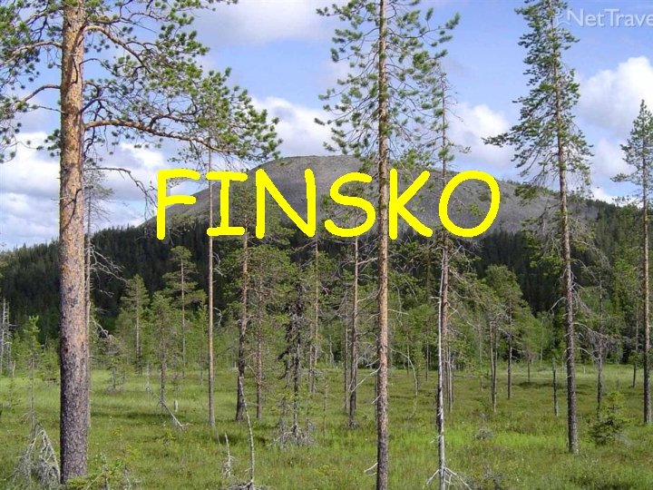 FINSKO 
