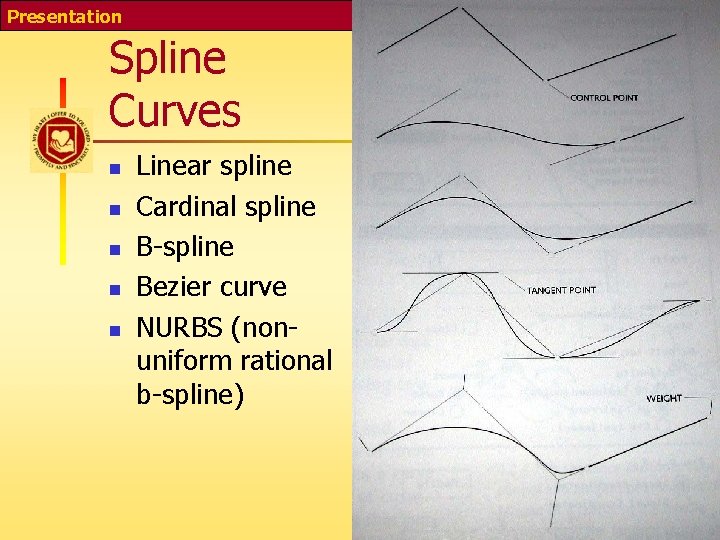 Presentation Interactive Computer Graphics Spline Curves n n n Linear spline Cardinal spline B-spline