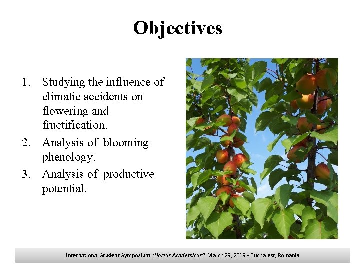 Objectives 1. Studying the influence of climatic accidents on flowering and fructification. 2. Analysis