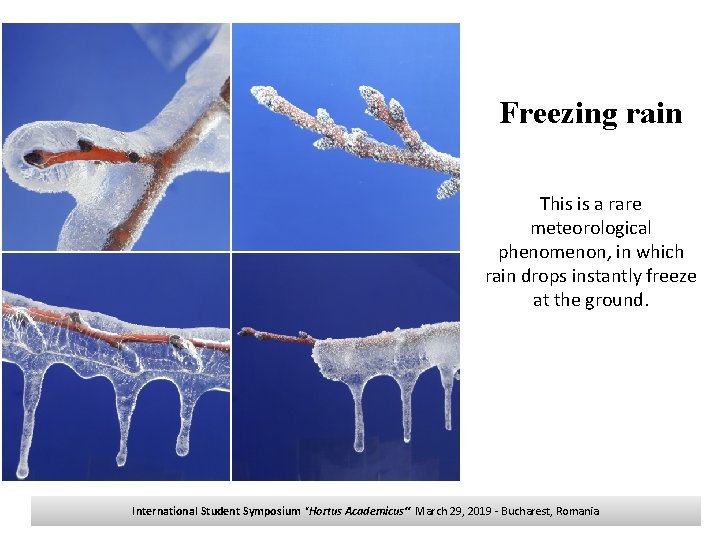 Freezing rain This is a rare meteorological phenomenon, in which rain drops instantly freeze