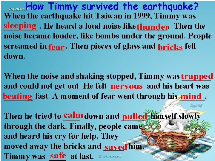 How Timmy survived the earthquake? When the earthquake hit Taiwan in 1999, Timmy was