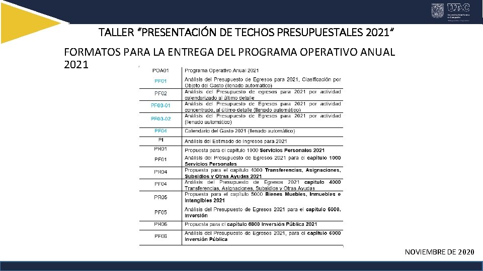 TALLER “PRESENTACIÓN DE TECHOS PRESUPUESTALES 2021” FORMATOS PARA LA ENTREGA DEL PROGRAMA OPERATIVO ANUAL