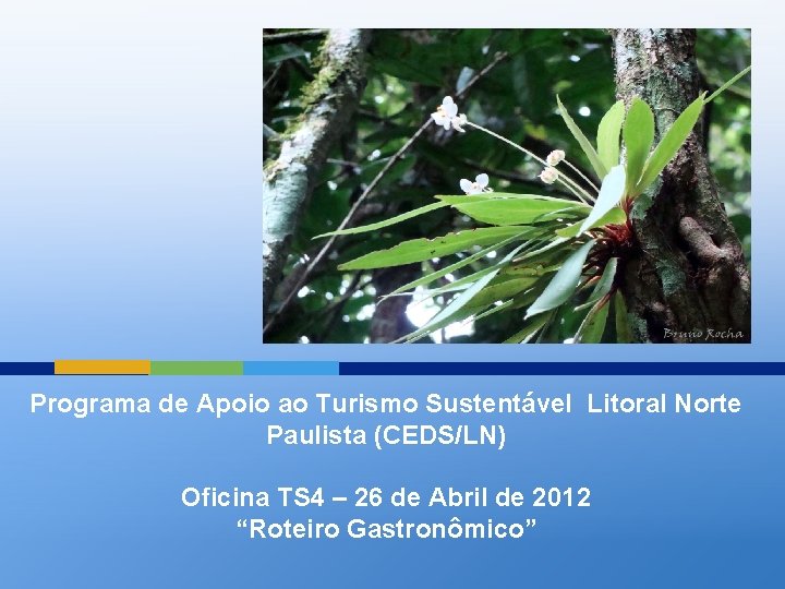 Programa de Apoio ao Turismo Sustentável Litoral Norte Paulista (CEDS/LN) Oficina TS 4 –