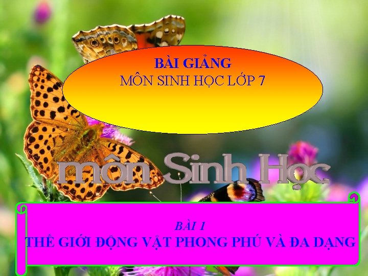 BÀI GIẢNG MÔN SINH HỌC LỚP 7 BÀI 1 THẾ GIỚI ĐỘNG VẬT PHONG