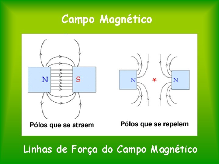 Campo Magnético Linhas de Força do Campo Magnético 