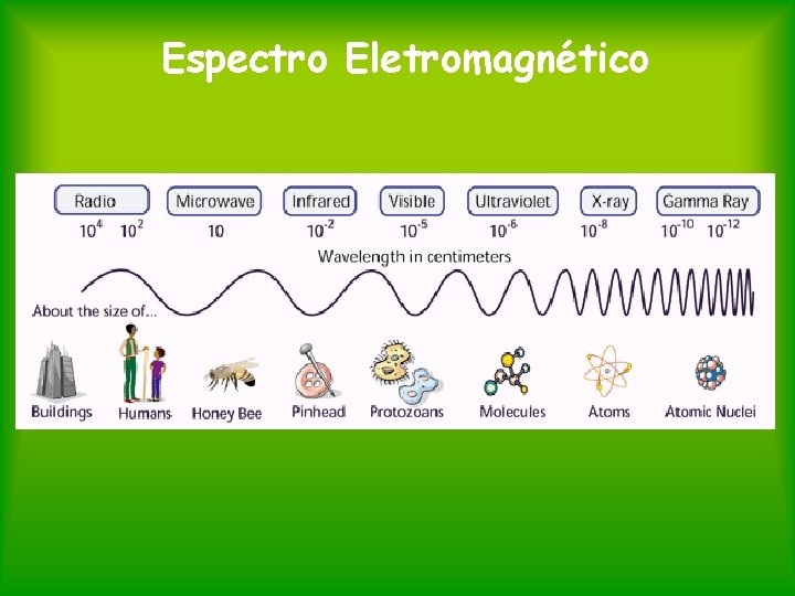 Espectro Eletromagnético 