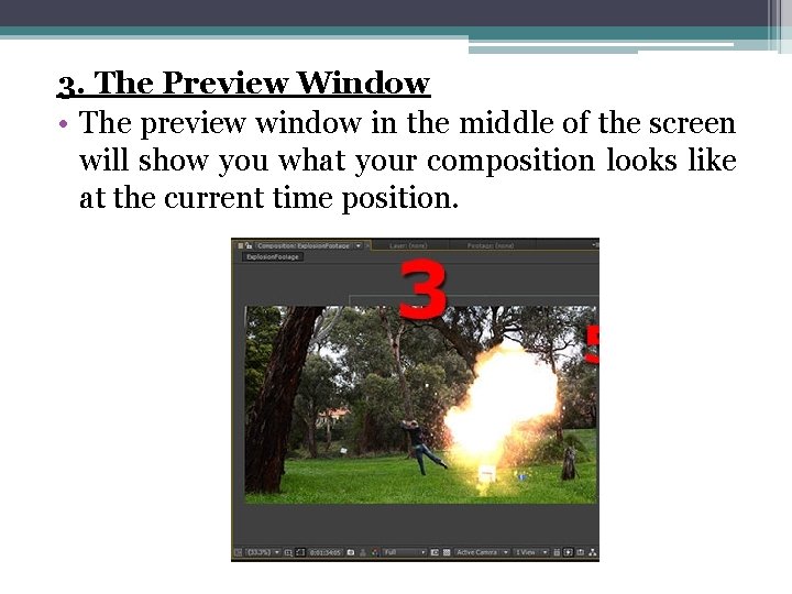 3. The Preview Window • The preview window in the middle of the screen