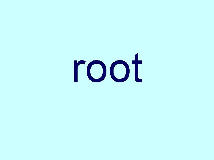 root 