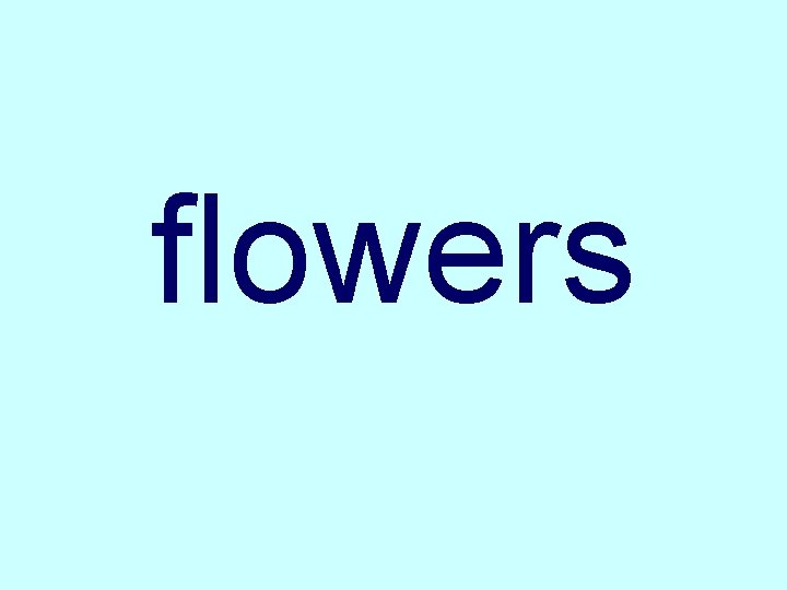 flowers 